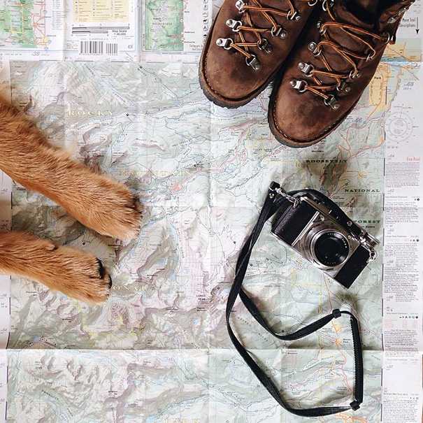 traveling-dog-aspen-the-mountain-pup-instagram-1