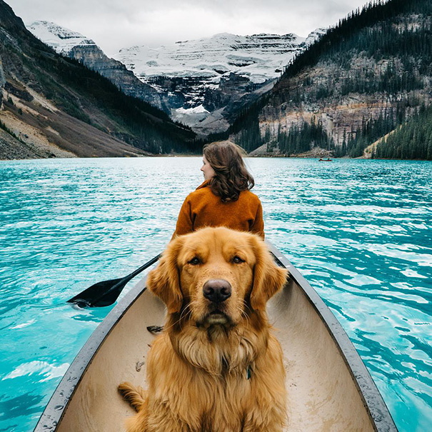 traveling-dog-aspen-the-mountain-pup-instagram-35