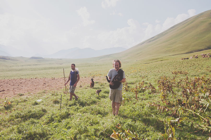 We Joined The Shepherds For A Day In The Caucasus Mountains