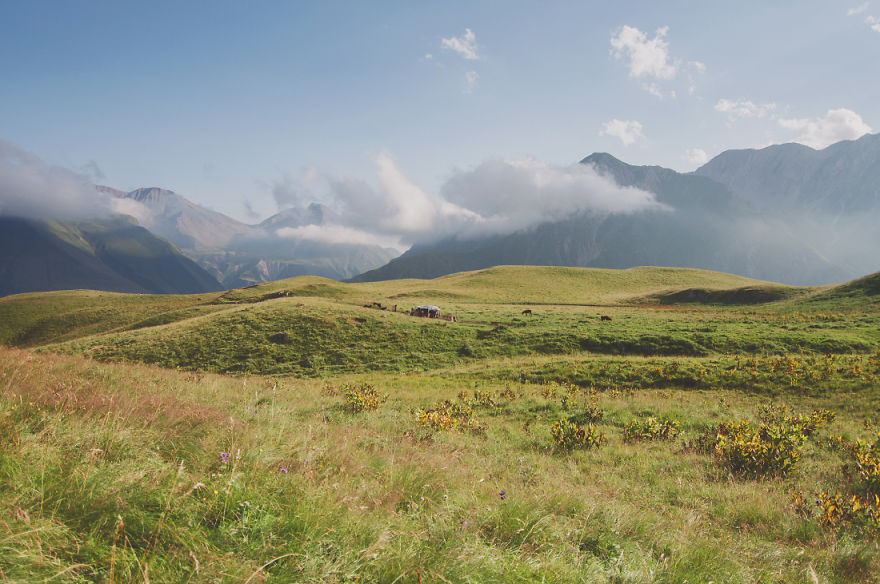 We Joined The Shepherds For A Day In The Caucasus Mountains
