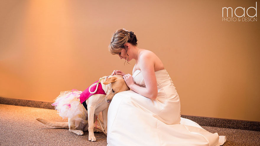wedding-service-dog-tutu-dress-maddie-peschong-mad-photo-design-1