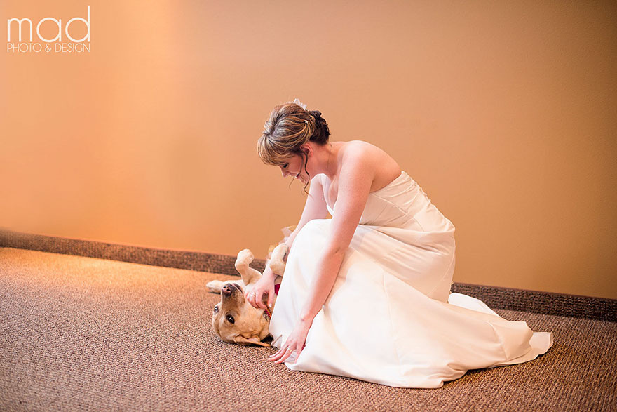 Service Dog Calms Bride Suffering From Anxiety During Her Wedding Day