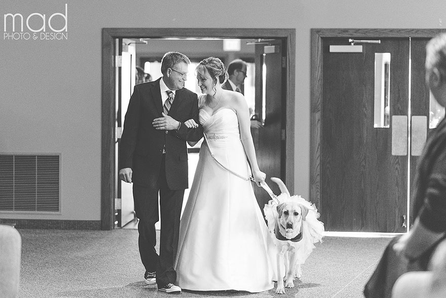 Service Dog Calms Bride Suffering From Anxiety During Her Wedding Day