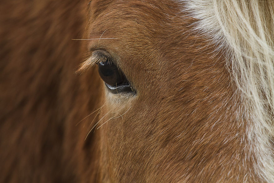 16 Incredible Photos Of Iceland 16 Incredible Photos Of Iceland