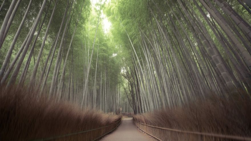 #19 Arashiyama : Japan
