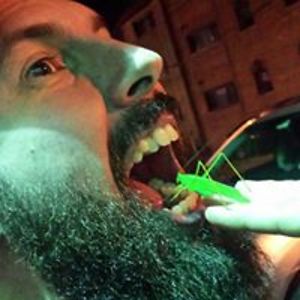 steveruggiero avatar