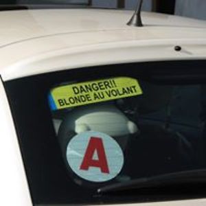 sahara_pfeifer avatar