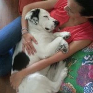 amanda_kaschak avatar