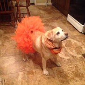 victoriacassara avatar