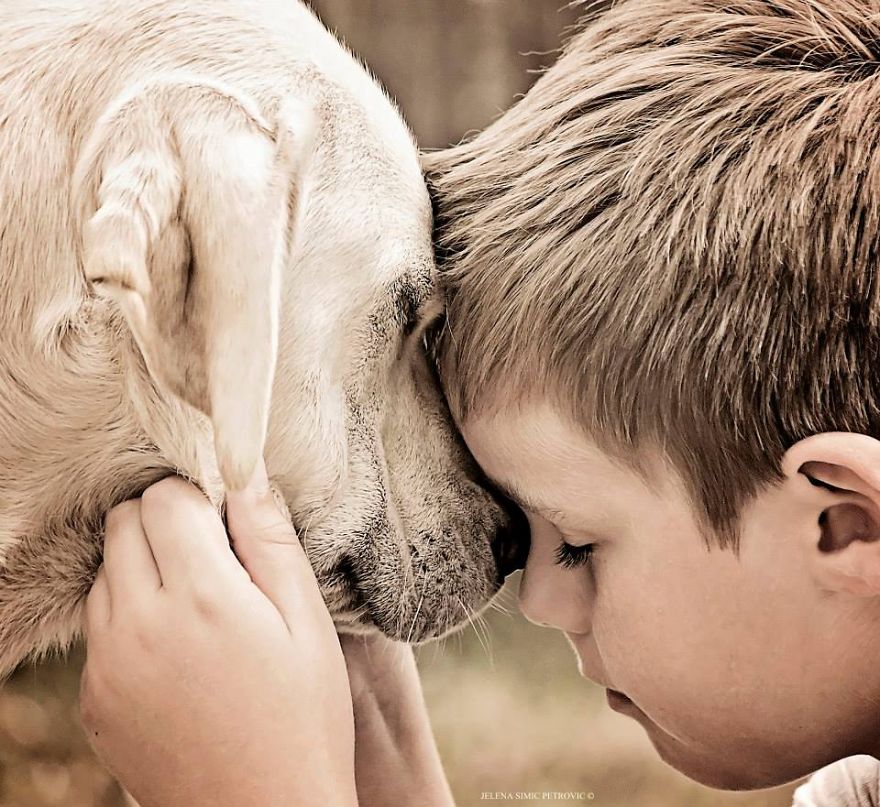 Heartwarming Photos Of My Son And Our Rescued Dogs