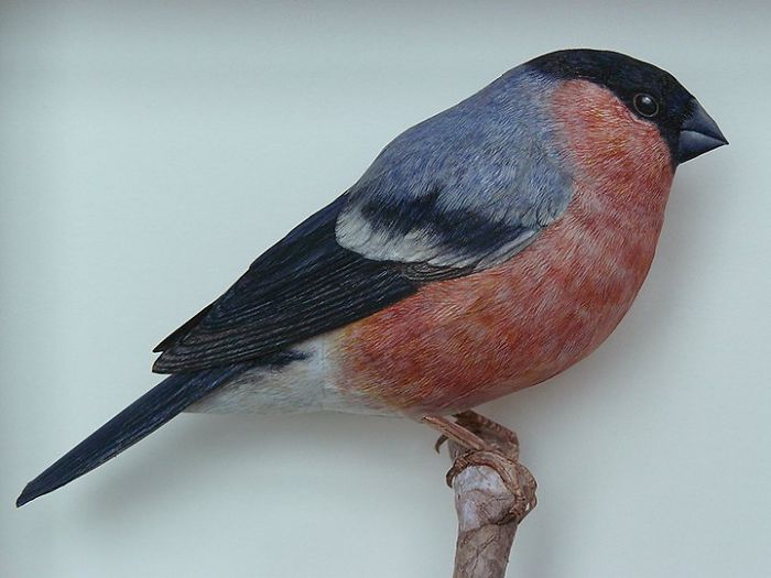 I Create Realistic Birds From Paper