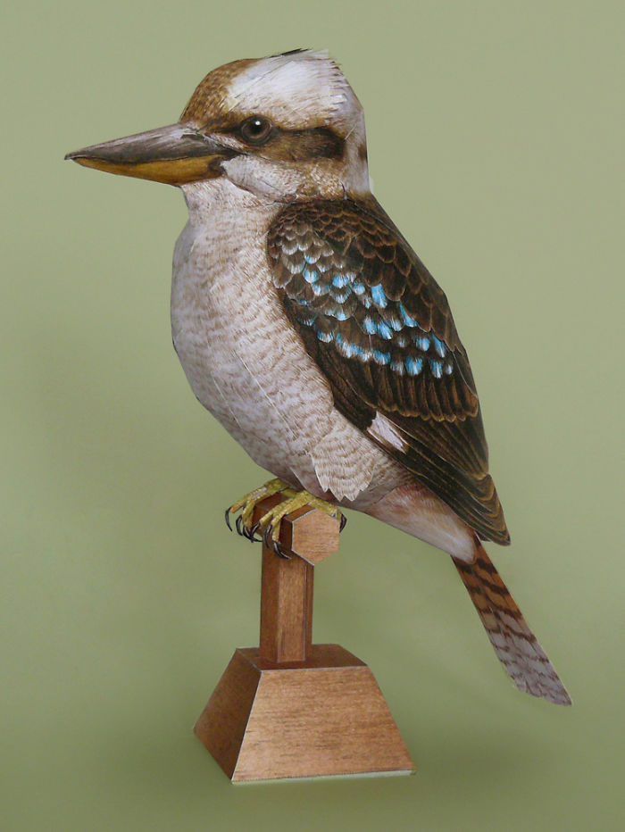 I Create Realistic Birds From Paper