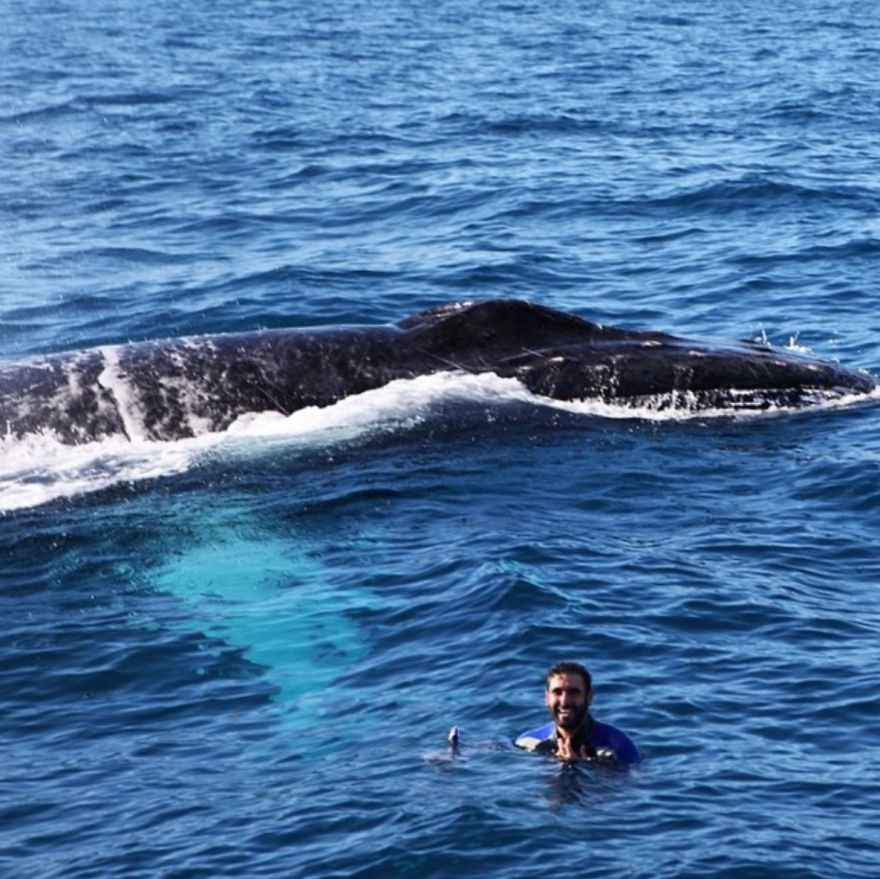 Humpback Whale Pops Up Behind Me In Dominican Republic