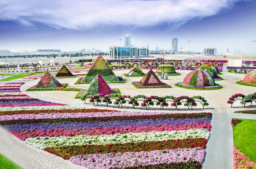 Amazing Pictures Of Dubai Miracle Garden