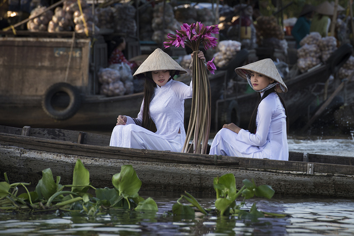 Beautiful Girls Wearing Elegant Ao Dai In Vietnam