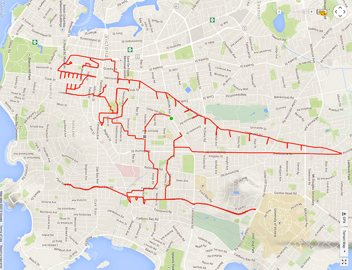T-Rex terrorizes Beacon Hill Park (37.3 km, 1 h 43 min)