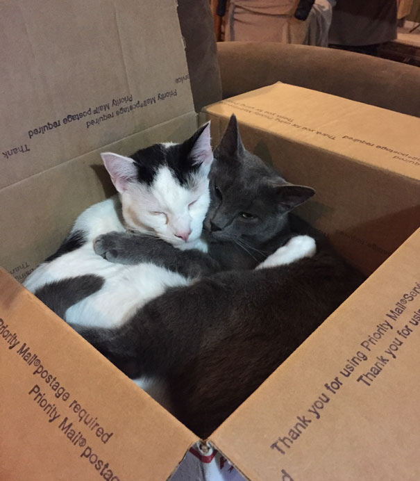This box was never so comfortable without you