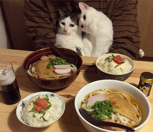 Dinner for two, please