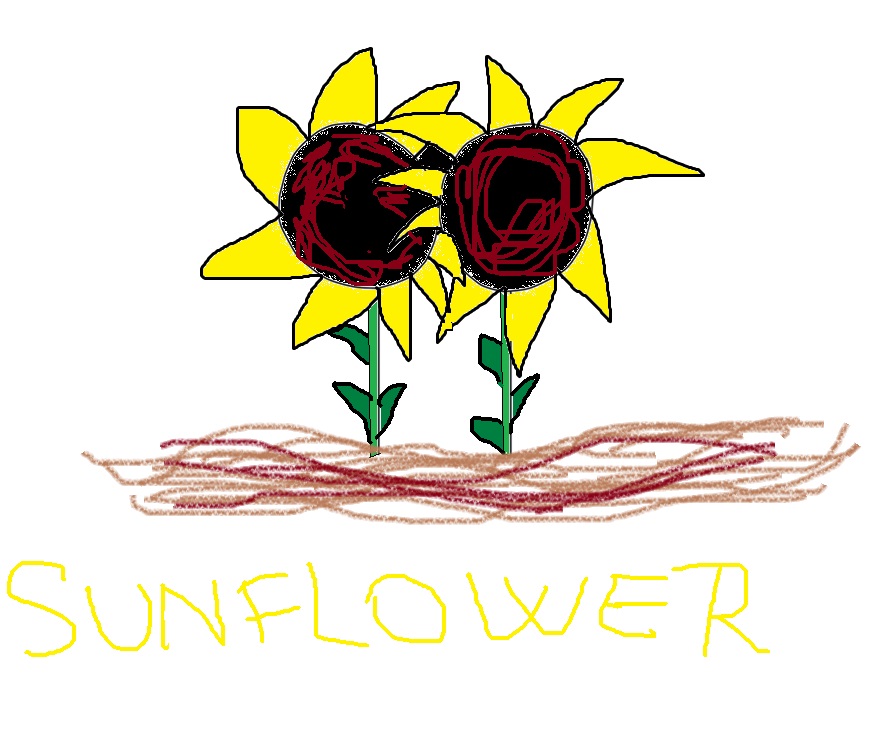 Sunflowers .. Wish It's Not Ugly :))