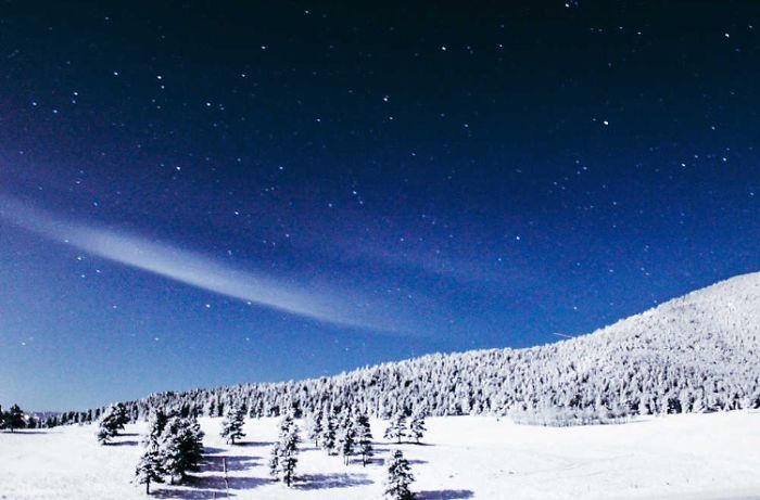 Colorado Winter
