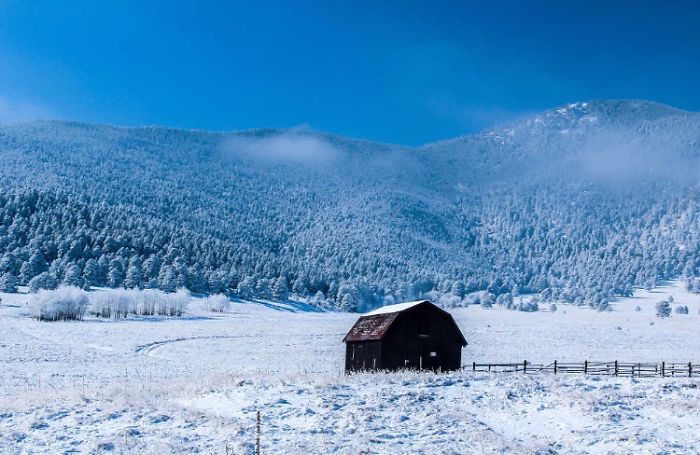 Colorado Winter