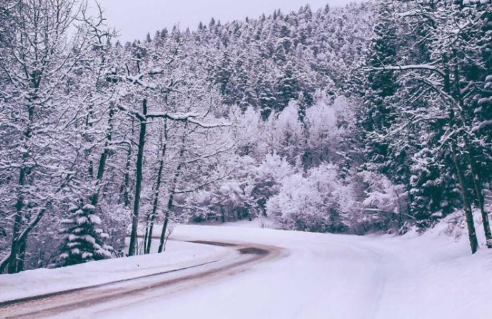Colorado Winter
