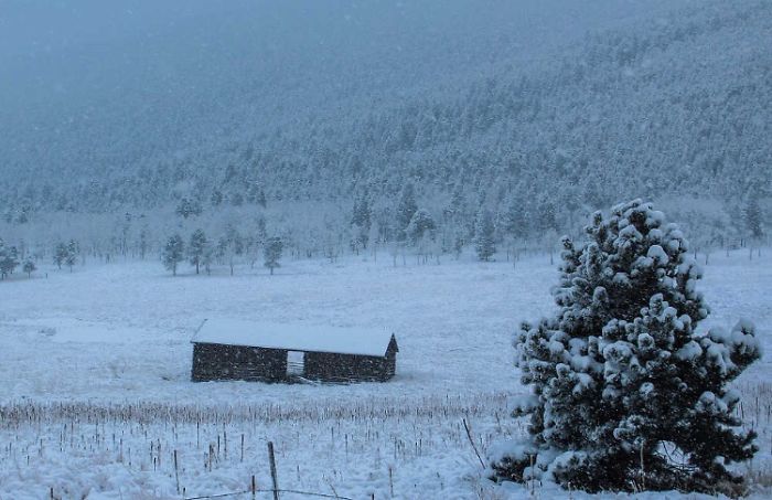 Colorado Winter