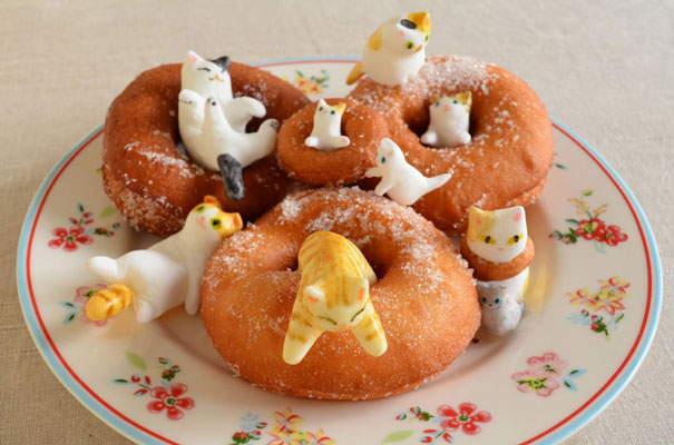 Cat Doughnuts