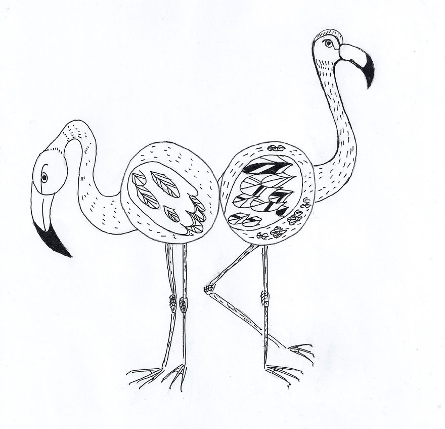#33 Flamingos