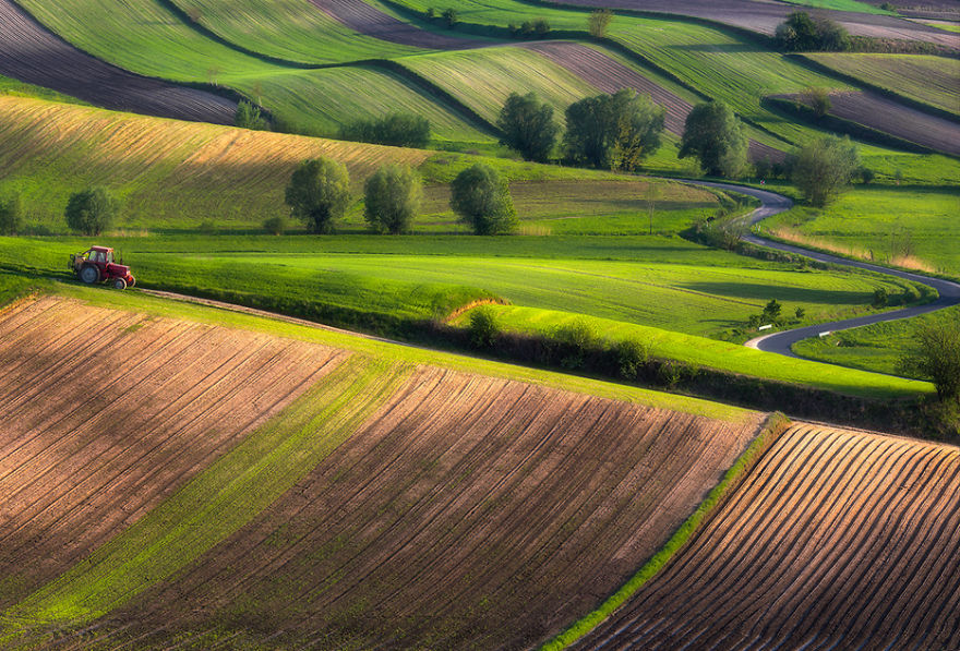 For 20 Years I've Been Photographing European Fields, Which Look Like Sea Waves