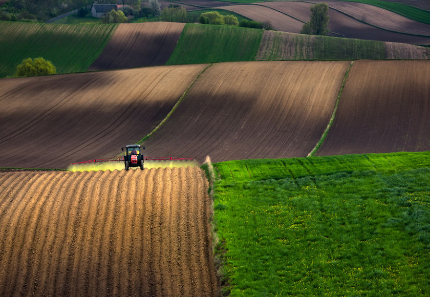 For 20 Years I've Been Photographing European Fields, Which Look Like Sea Waves