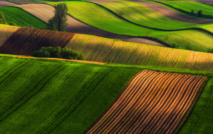 For 20 Years I’ve Been Photographing European Fields, Which Look Like Sea Waves
