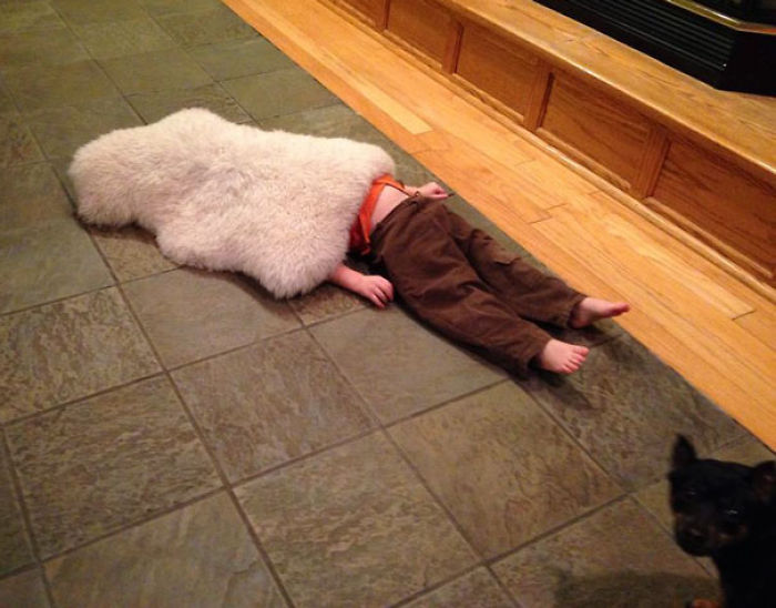 My Son's Hide And Seek Level: 100