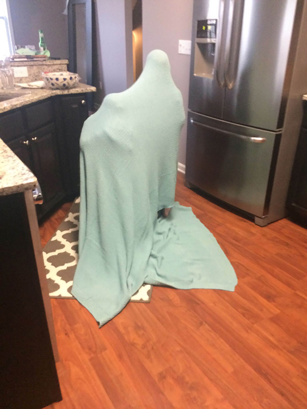 My Kids Hiding Under A Blanket In The Middle Of The Kitchen