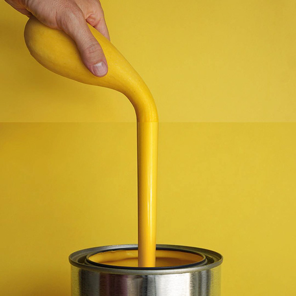 Yellow Squash + Yellow Paint