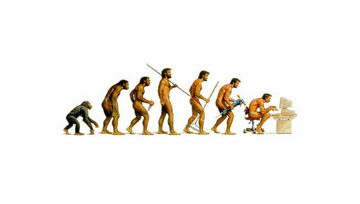 You Rarely See Any Other Evolution Chart