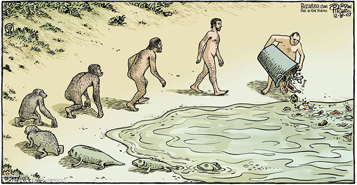 Evolution In A Nutshell