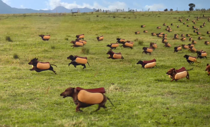 Hilarious Wiener Dog Stampede In Heinz Super Bowl Ad
