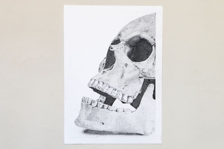 I Drew A Detailed Skull Drawing Using The Stippling Technique