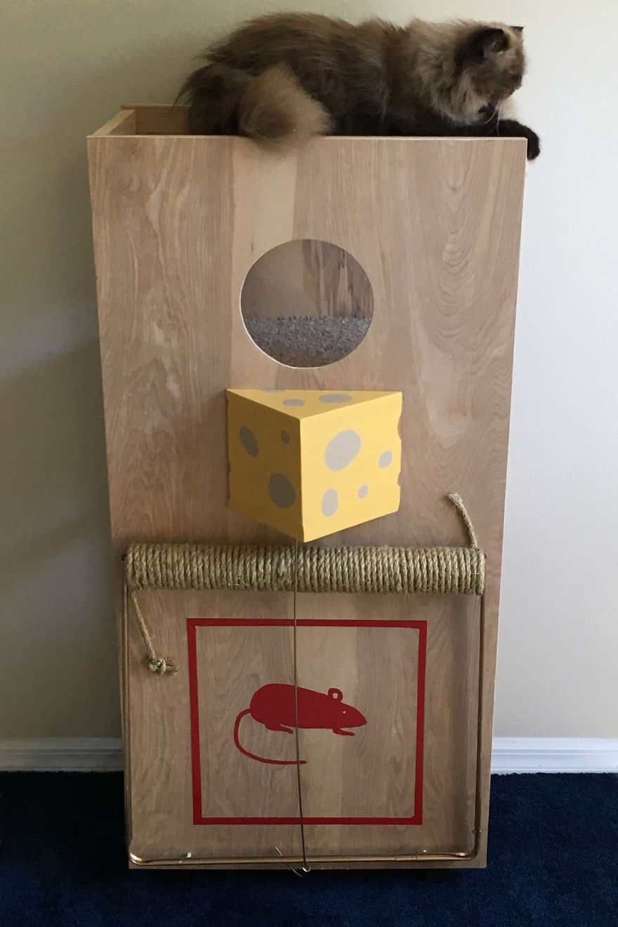 I Made A Giant Mousetrap For Cats