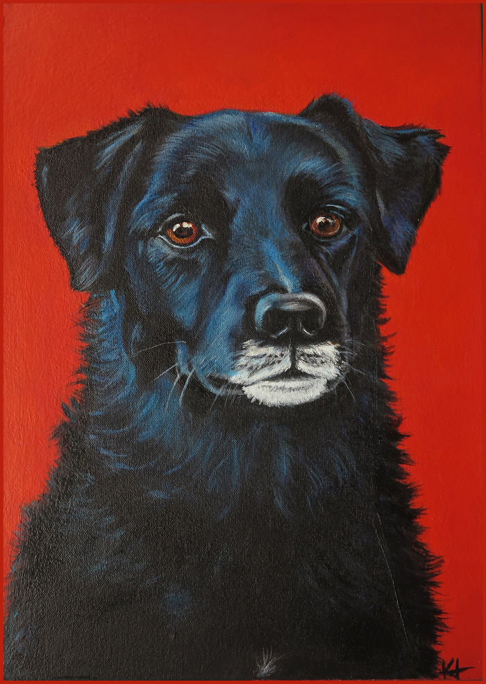 I Paint Pet Portraits One Hair At A Time