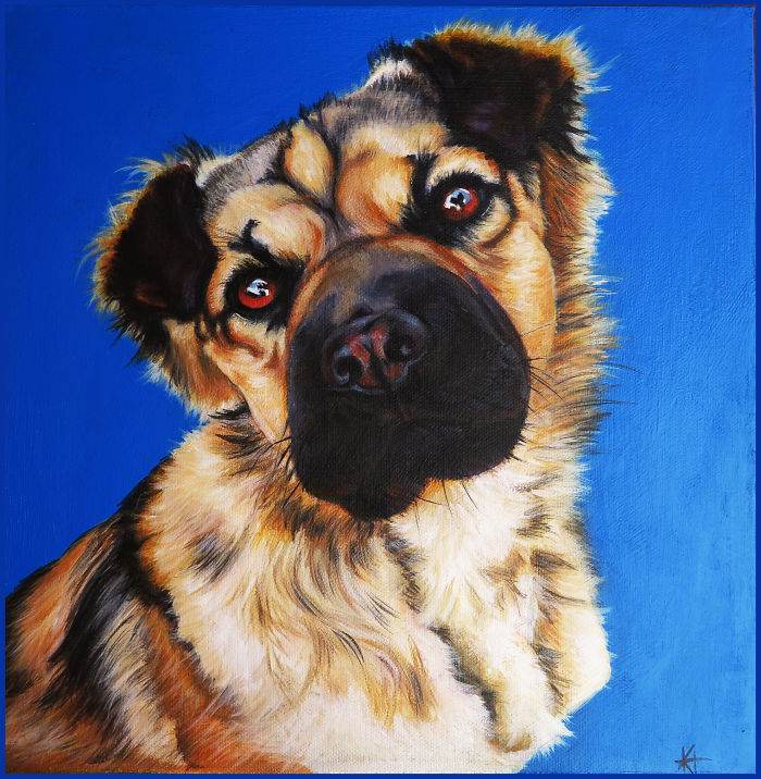 I Paint Pet Portraits One Hair At A Time