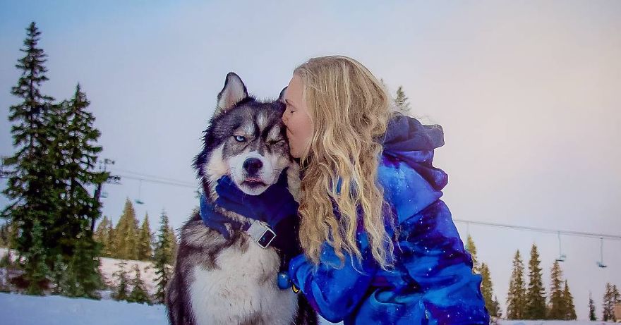 I Rescued A Husky And Later He Saved Me From An Abusive Relationship