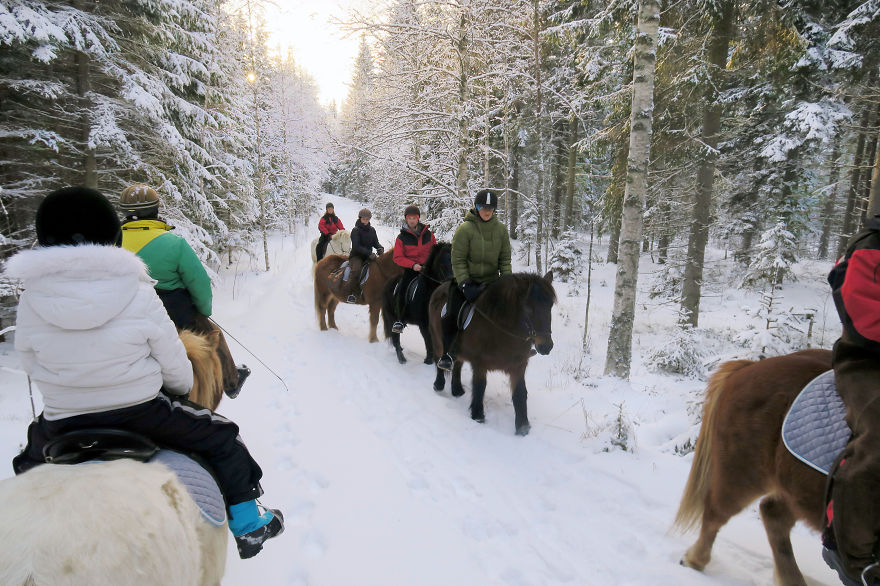 I Tried Out 6 Fun Winter Activities In Finland