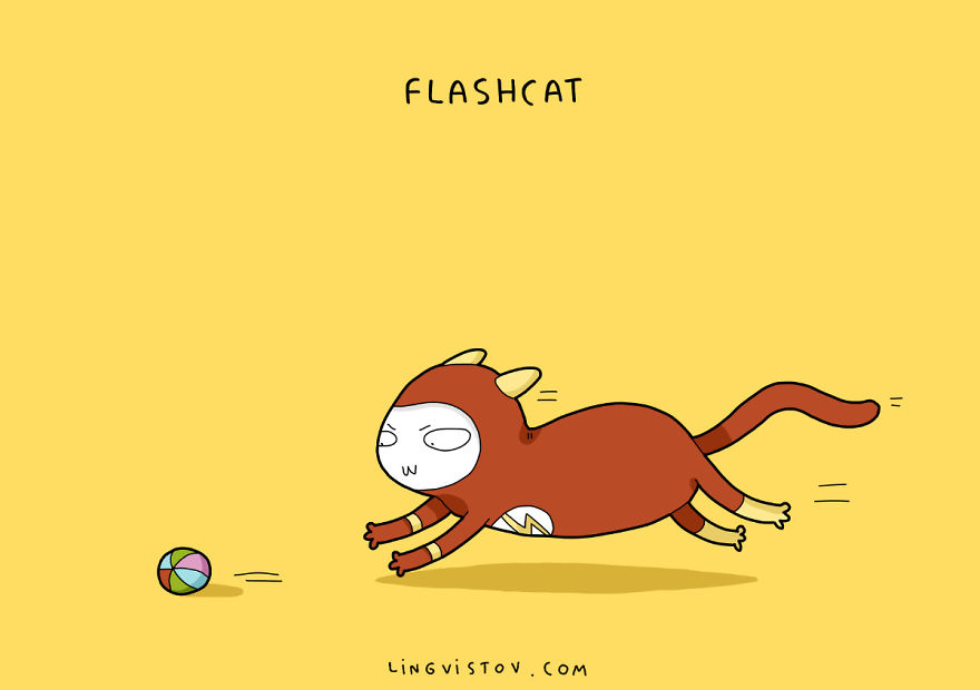 Flashcat