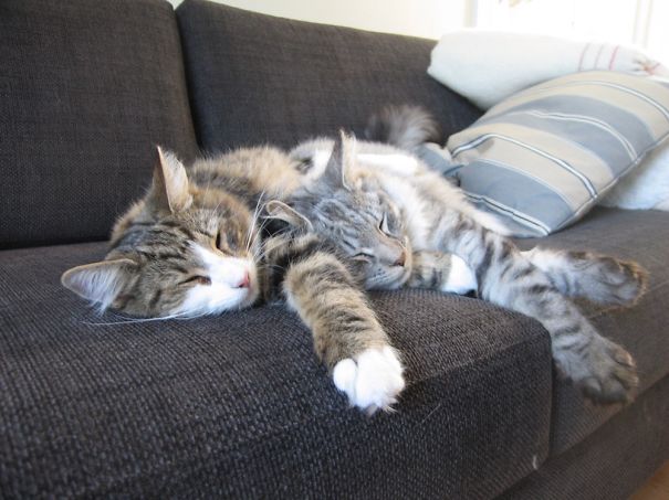 Relaxed Couple.