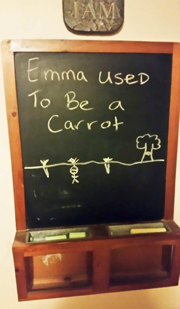 My Brother Teases Our Little Sister With Chalkboard Drawings Every Day. This Was Today's