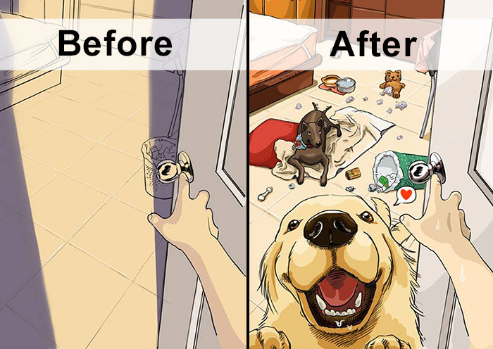 Life Before And After Getting A Dog (10 Pics)