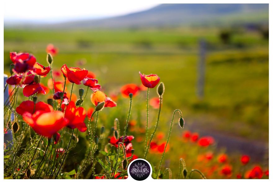 My Romania
