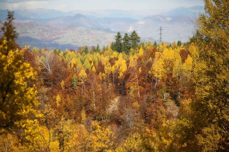 My Romania